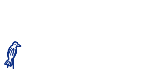 Oiseau 1