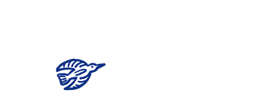 Oiseau 2