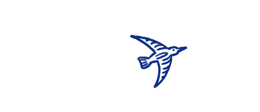 Oiseau 3