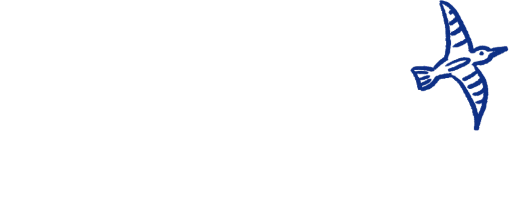 Oiseau 4